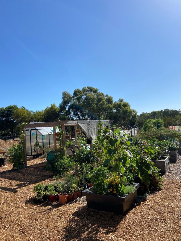 a beautiful garden filled with multiple vegetable patches, a greenhouse and other plants