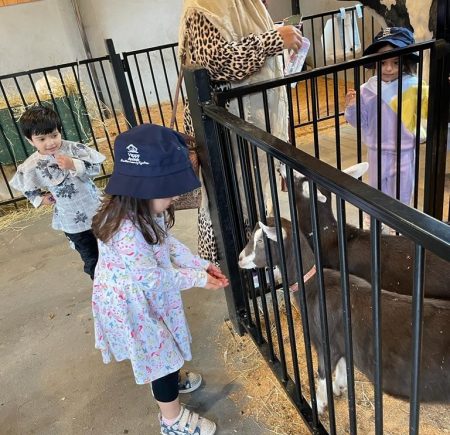 Child is holding out her hand to a goat behind a gate Image